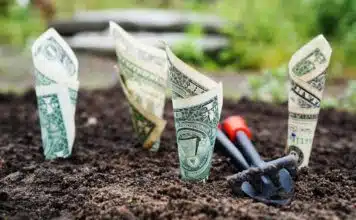 Trouver le placement financier le plus adapté à vos besoins