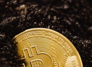 Close-Up Shot of a Bitcoin Buried in the Ground