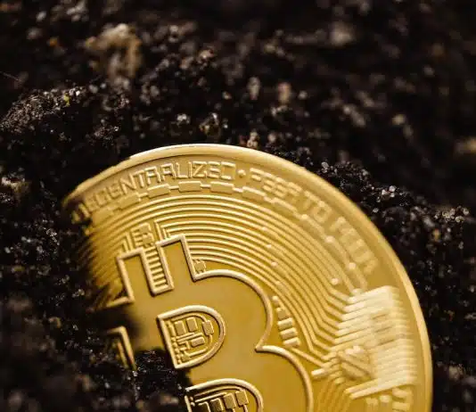 Close-Up Shot of a Bitcoin Buried in the Ground