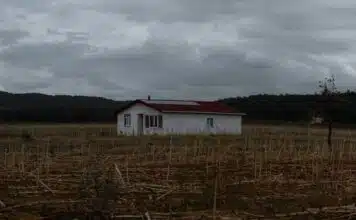 Comment bien gérer les déclarations de sinistres à son assurance habitation