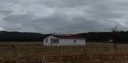 Comment bien gérer les déclarations de sinistres à son assurance habitation