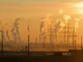 Isolation des combles : ce que vous devez savoir sur les matériaux écologiques