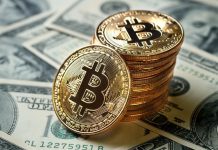 Pourquoi existe-t-il des maximalistes du bitcoin