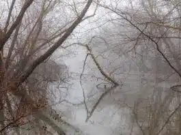 Simulation de portage salarial : comment Excel peut vous simplifier la vie