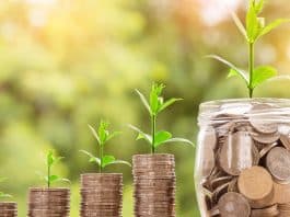 Comprendre le rôle des banques écologiques