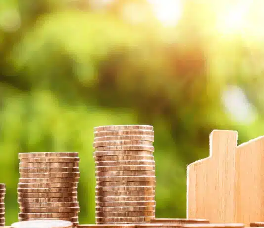 Investissement locatif : les clés du succès en 3 astuces essentielles Investissement locatif : les clés du succès en 3 astuces essentielles