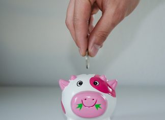 Pourquoi devriez-vous consulter des blogs sur l’épargne ?